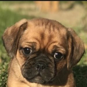 Meet your Posher, Tegan